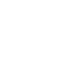 DigiCon